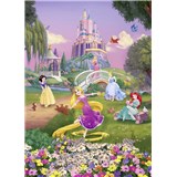 Fototapety Disney Princess západ slunce rozměr 184 cm x 254 cm