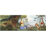 Fototapety Disney Medvídek Pú dům Medvídka Pú rozměr 368 cm x 127 cm - POSLEDNÍ KUS