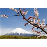 Vliesové fototapety japonská sopka s květy rozměr 312 cm x 219 cm