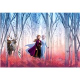 Fototapety Disney Frozen II přátelé navždy rozměr 368 cm x 254 cm