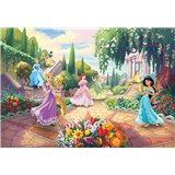 Fototapety Disney Princess park rozměr 368 cm x 254 cm - POSLEDNÍ KUS