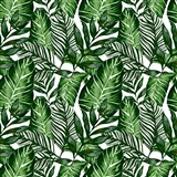 Samolepící fólie tropical listy - 67,5 cm x 15 m
