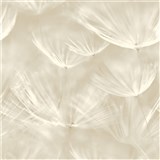 Vliesové tapety na zeď IMPOL pampelišky krémově bílé