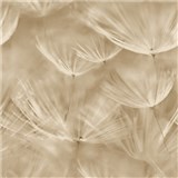 Vliesové tapety na zeď IMPOL pampelišky béžové