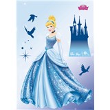 Samolepky na zeď Disney Princess Dream rozměr 50 cm x 70 cm