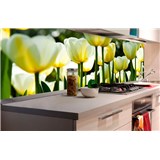 Samolepící tapety za kuchyňskou linku tulipány rozměr 180 cm x 60 cm