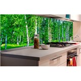Samolepící tapety za kuchyňskou linku březový les rozměr 180 cm x 60 cm - POSLEDNÍ KUSY