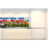 Samolepící tapety za kuchyňskou linku barevné tulipány rozměr 350 cm x 60 cm