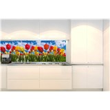 Samolepící tapety za kuchyňskou linku barevné tulipány rozměr 260 cm x 60 cm - POSLEDNÍ KUSY