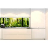 Samolepící tapety za kuchyňskou linku svítání v lese rozměr 180 cm x 60 cm - POSLEDNÍ KUSY