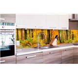 Samolepící tapety za kuchyňskou linku les na podzim rozměr 260 cm x 60 cm - POSLEDNÍ KUSY