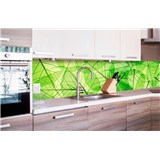 Samolepící tapety za kuchyňskou linku listové žíly rozměr 260 cm x 60 cm - POSLEDNÍ KUSY