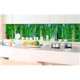 Samolepící tapety za kuchyňskou linku březový les rozměr 350 cm x 60 cm - POSLEDNÍ KUSY