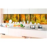 Samolepící tapety za kuchyňskou linku les na podzim rozměr 350 cm x 60 cm - POSLEDNÍ KUSY