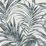 Vliesové tapety na zeď IMPOL IVY palmové listy šedé na bílém podkladu