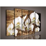 Obraz na plátně orchidej na dřevě 150 x 100 cm