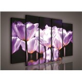 Obraz na plátně fialové květy 150 x 100 cm