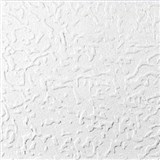 Stropní panely 3D EPS PASAT Z bílý rozměr 50 x 50 cm