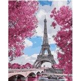 Malování podle čísel magnólie v Paříži rozměr 40 x 50 cm