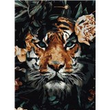 Malování podle čísel tygr rozměr 40 x 50 cm