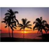 Vliesové fototapety Havaj rozměr 368 cm x 254 cm