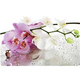 Dekorativní prostírání na stůl ORCHID rozměr 250 x 410 mm