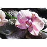 Dekorativní prostírání na stůl ORCHIDEJ rozměr 270 x 410 mm - POSLEDNÍ KUSY