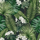 Vliesové tapety na zeď tropical listy na černém podkladu - POSLEDNÍ KUSY