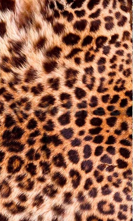 Пестрая шкура. Леопардовый плед. Пятнистый мех. Пятнистый плед. Пятнистая ткань.