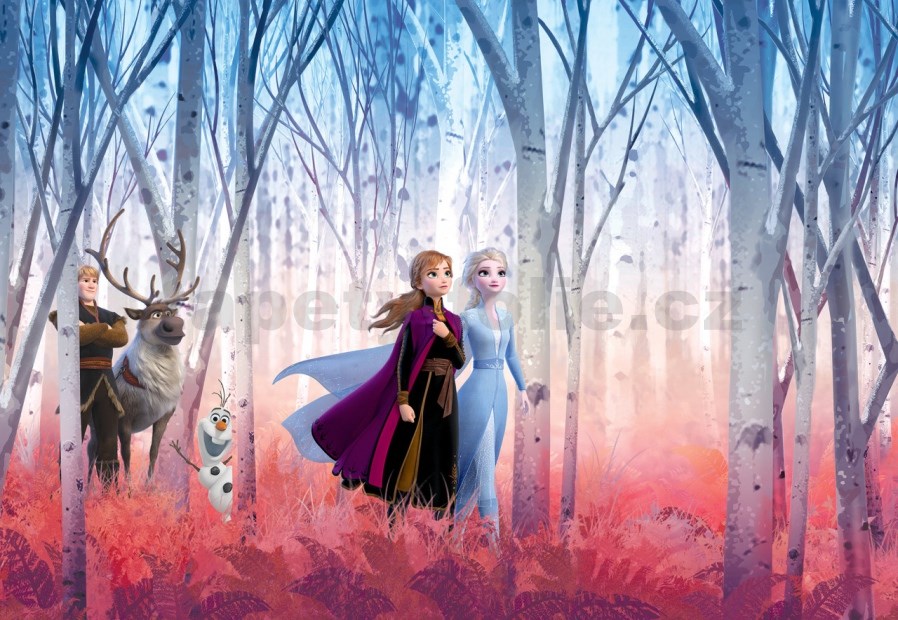 Disney Frozen & Friends Wall Mural Disney Frozen & Friends Wall Mural