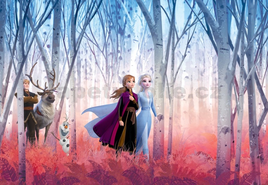 Disney Frozen & Friends Wall Mural