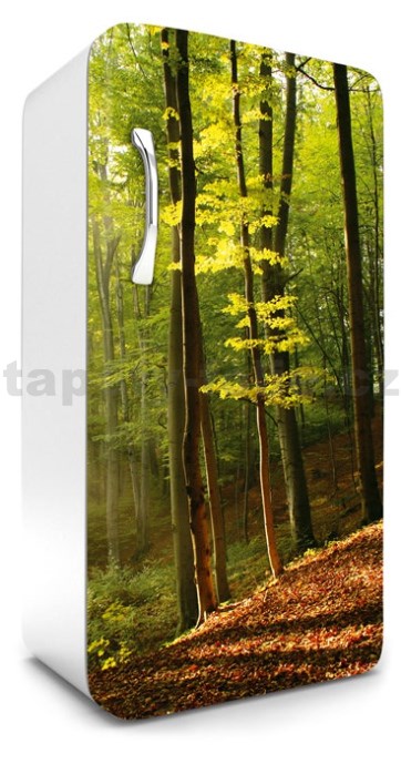 Samolepici Tapety Na Lednici Les Na Podzim Rozmer 120 Cm X 65 Cm