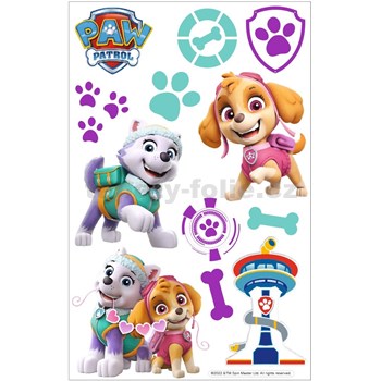 3D Pěnová dekorace na zeď Tlapková patrola Skye, Everest (Paw Patrol)