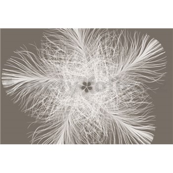 Vliesové fototapety peříčka Federstern rozměr 368 x 248 cm - POSLEDNÍ KUS