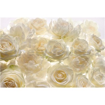 Vliesové fototapety Shalimar rozměr 368 cm x 248 cm