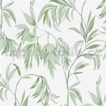 Vliesové tapety na zeď IMPOL Attractive popínavé zelené listy na bílém podkladu