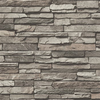 Vliesové tapety na zeď Wood´n Stone kámen hnědý
