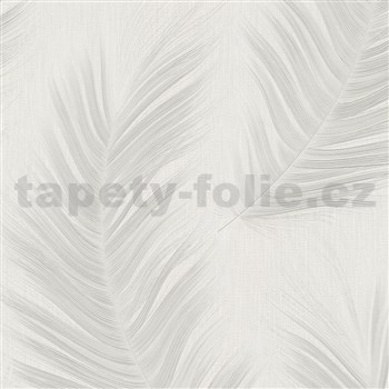 Vliesové tapety na zeď Aurora peříčka bílé na bílém podkladu