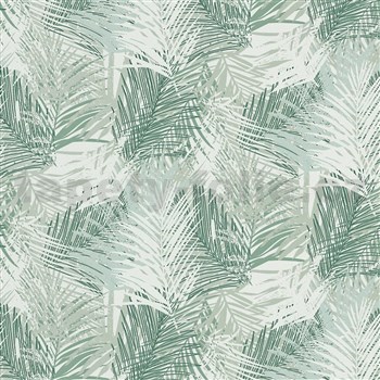 Vliesové tapety na zeď Collage listy palmy zelené