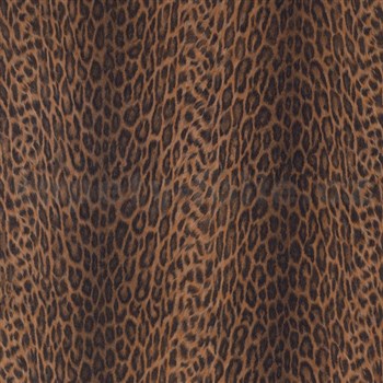 Samolepící tapety - leopard Afrika 45 cm x 15 m - POSLEDNÍ METRY