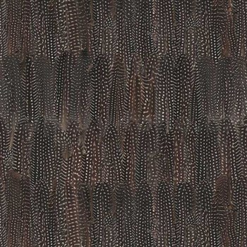 Samolepící tapety d-c-fix - peří hnědé Dano 45 cm x 15 m - POSLEDNÍ METRY