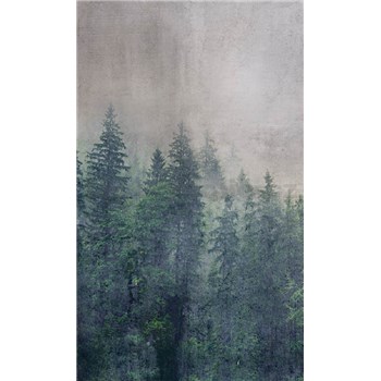 Vliesové fototapety koruny stromů rozměr 150 cm x 250 cm - POSLEDNÍ KUSY
