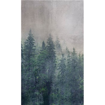 Vliesové fototapety koruny stromů rozměr 150 cm x 250 cm