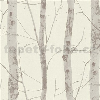 Vliesové tapety na zeď Instawalls kmeny stromů s větvemi hnědé na bílém podkladu