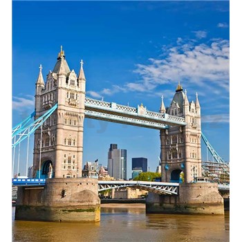 Vliesové fototapety Tower Bridge rozměr 225 cm x 250 cm