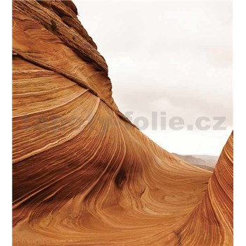 Vliesové fototapety poušť rozměr 225 cm x 250 cm