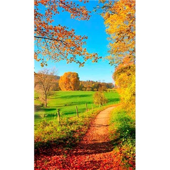 Vliesové fototapety louka rozměr 150 cm x 250 cm