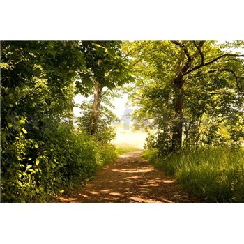 Vliesové fototapety lesní cesta rozměr 375 cm x 250 cm - POSLEDNÍ KUSY