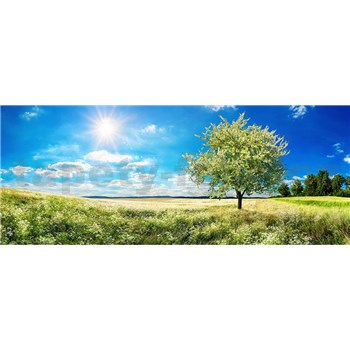 Vliesové fototapety rozkvetlý strom rozměr 375 cm x 150 cm - POSLEDNÍ KUSY