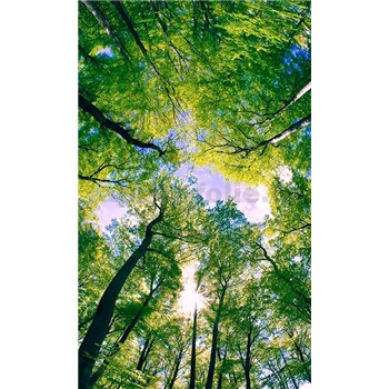 Vliesové fototapety stromy rozměr 150 cm x 250 cm - POSLEDNÍ KUSY